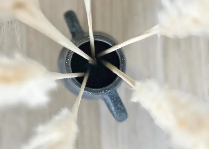 Daire Le Canope - Centre - Gare Toulouse