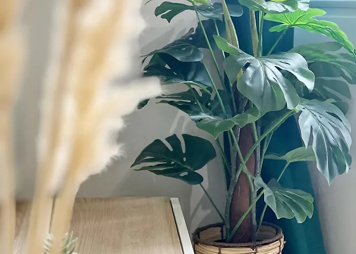 Le Canope - Centre - Gare Toulouse