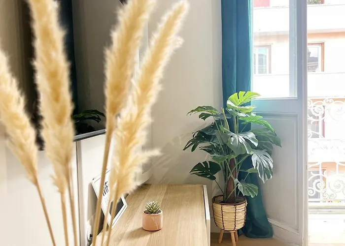 Apartment Le Canope - Centre - Gare Toulouse