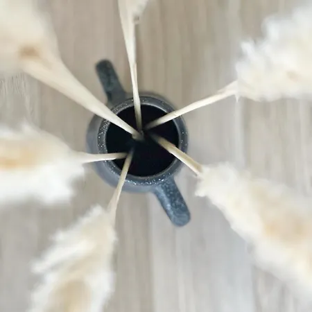 شقة Le Canope - Centre - Gare تولوز