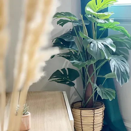 Le Canope - Centre - Gare تولوز